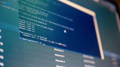software download identifiers and usernames