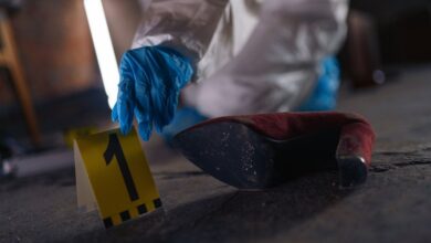 number registry evidence for listed ids