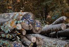 phone number verification log list