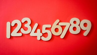phone numbers list with identifiers