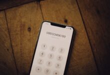telephone numbers listed for registry